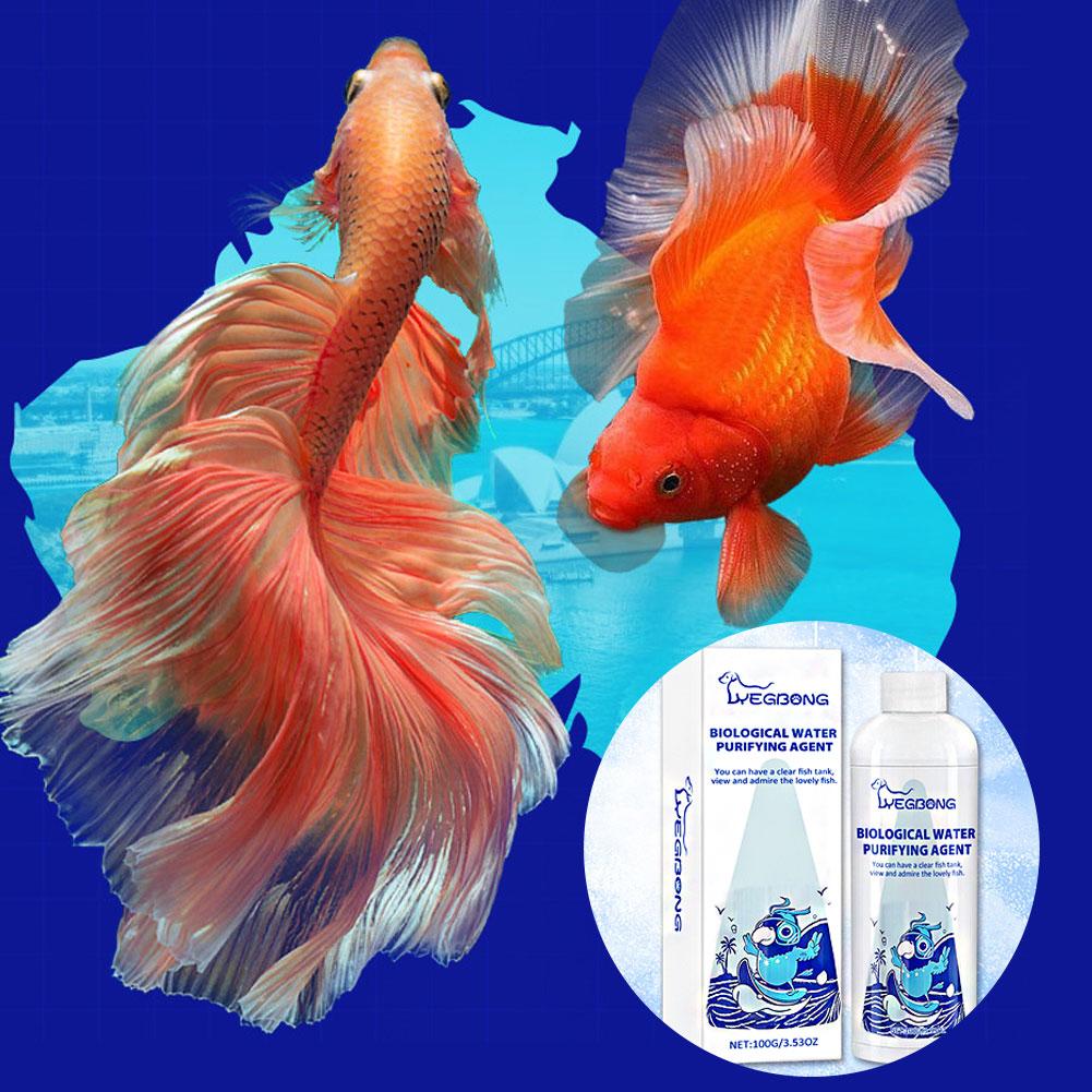 Balsamo per l'acquario Balsamo - Aquarium Fish Medicine recensione e prezzo