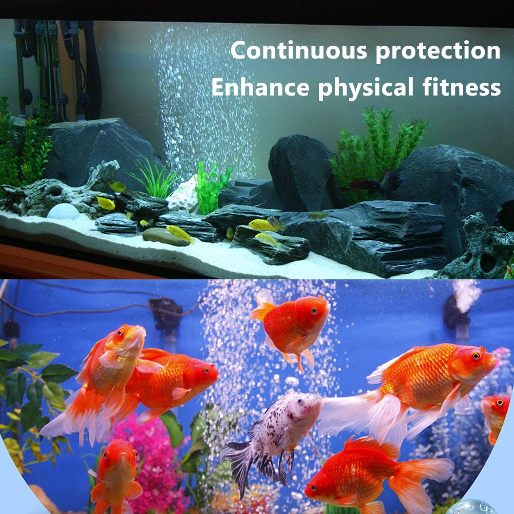 Balsamo per l'acquario Balsamo - Aquarium Fish Medicine recensione e prezzo