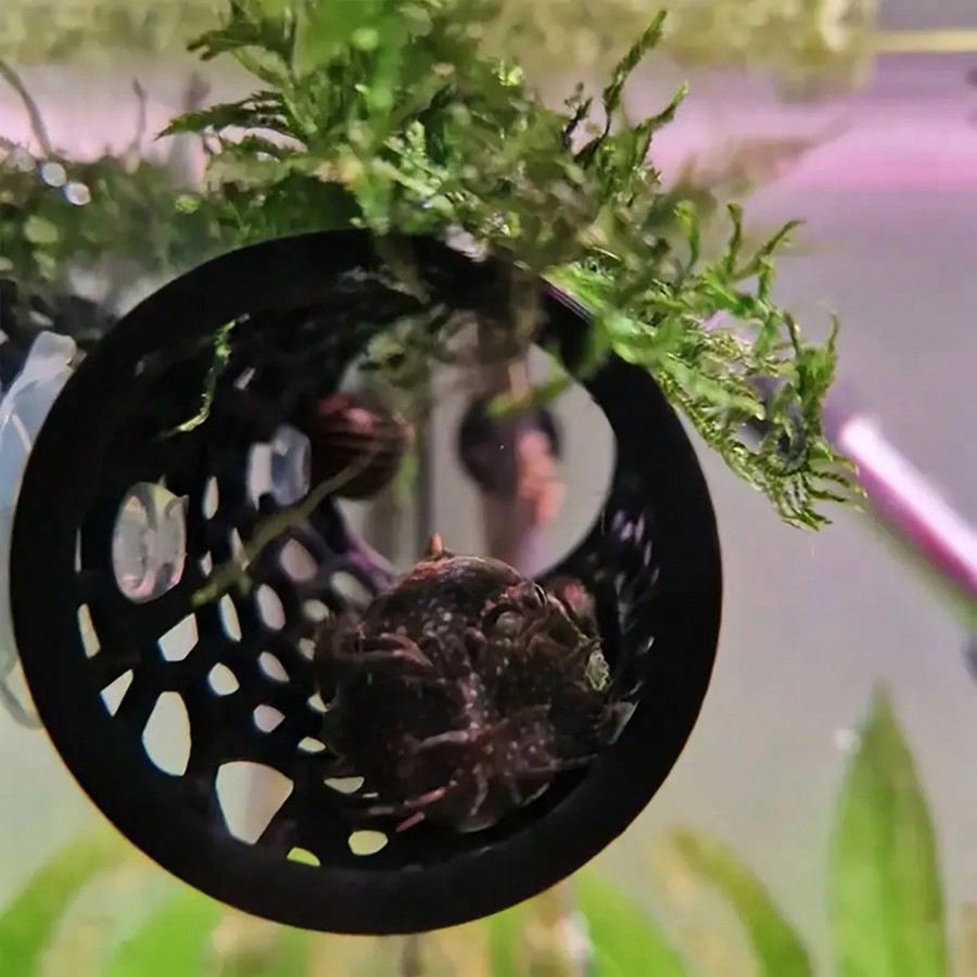 Tubo Cavo Decorativo per Acqua - Aquarium Fish Hiding Places recensione e prezzo