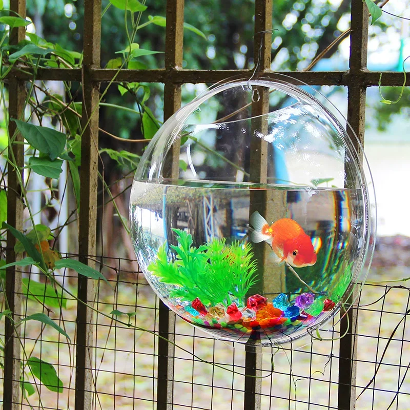 Pinsjar Ciotola per pesci in a - Aquarium Fish In Bowl recensione e prezzo