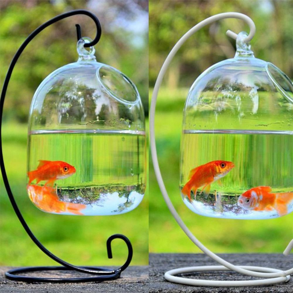 Decorazione da parete per acqu - Aquarium Fish In Bowl recensione e prezzo