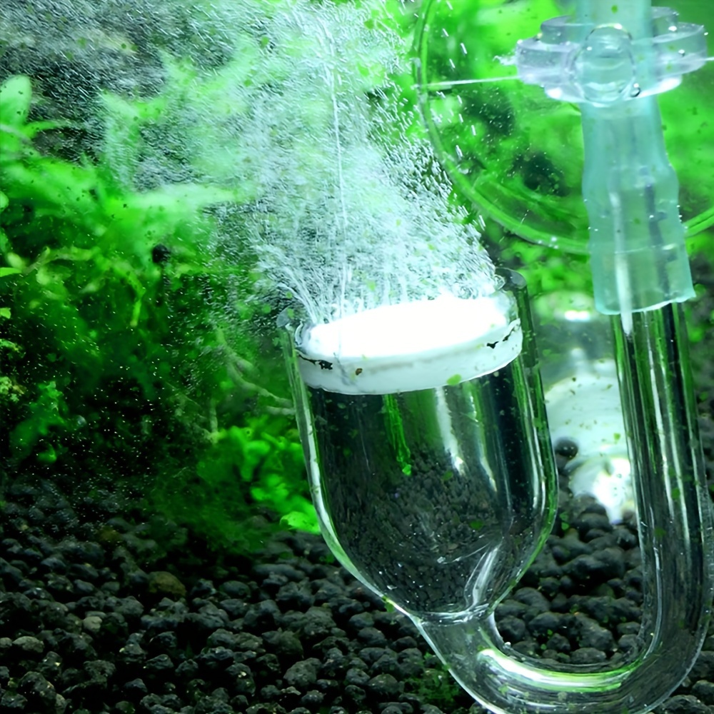Acquario Vetro CO2 Atomizzator - Aquarium Fish Photography recensione e prezzo