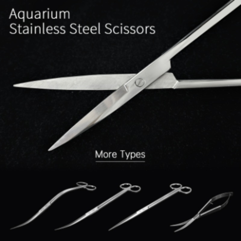 Forbici per Piante Acquatiche  - Aquarium Fish Photography recensione e prezzo