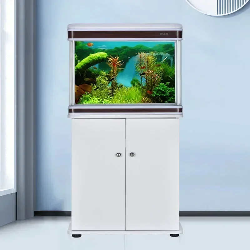 Fornitore professionale per ac - Aquarium Fish Supplier recensione e prezzo