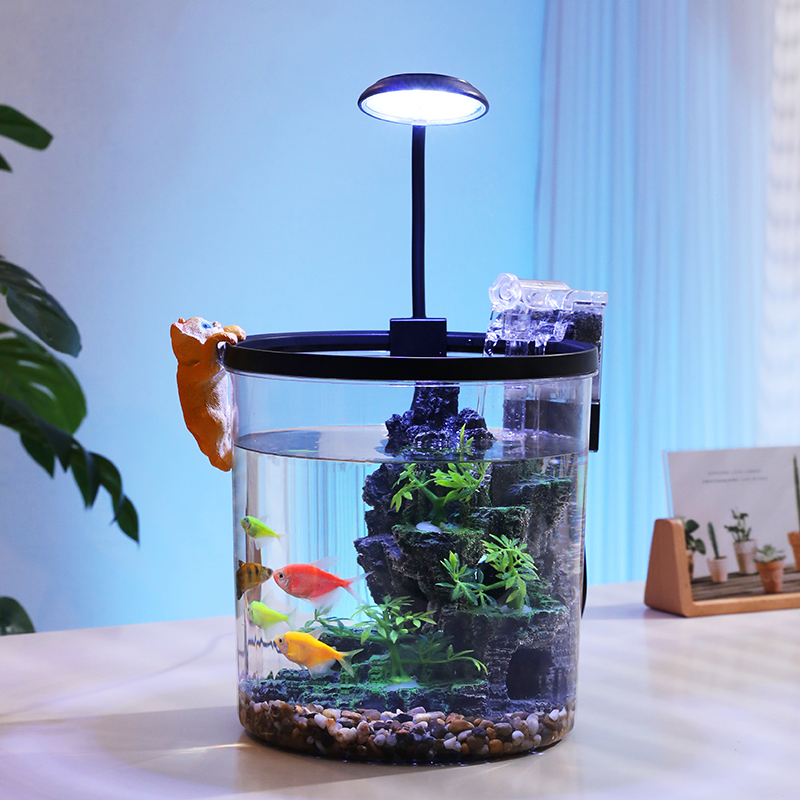 Ciotola per pesci rossi rotond - Aquarium Fish In Bowl recensione e prezzo