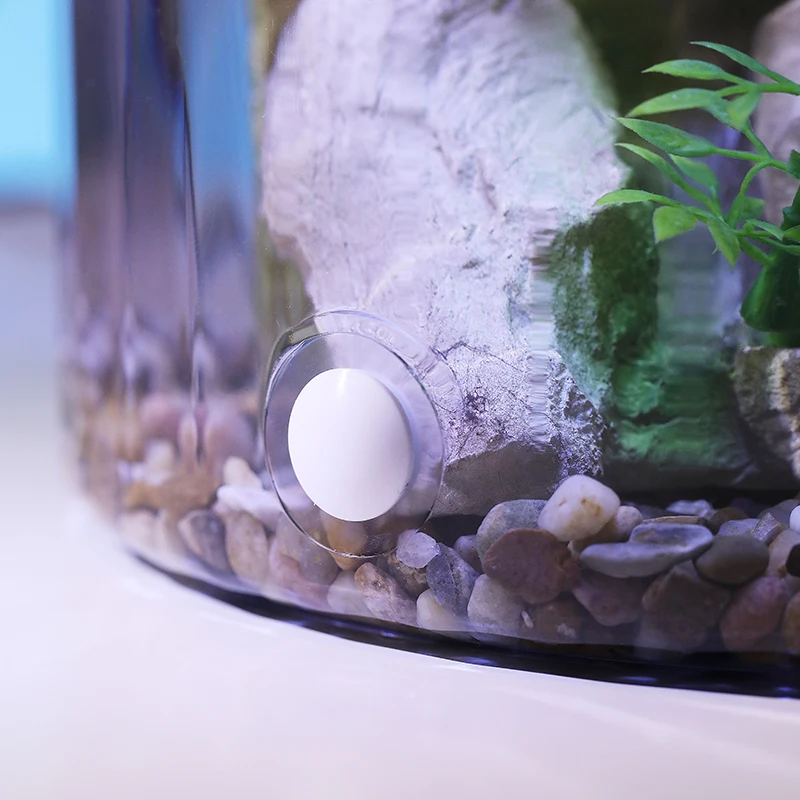 Ciotola per pesci rossi rotond - Aquarium Fish In Bowl recensione e prezzo