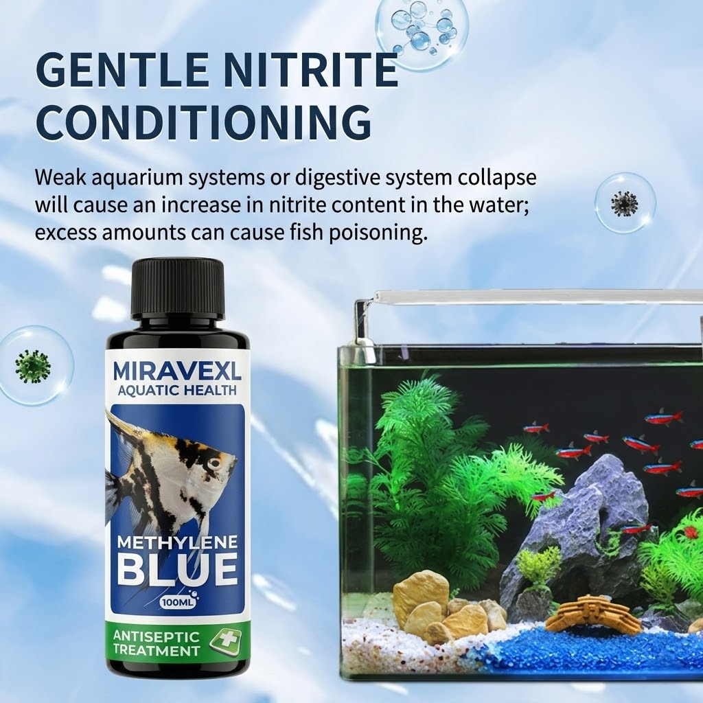 Trattamento Antisettico per Ac - Aquarium Fish Parasites recensione e prezzo