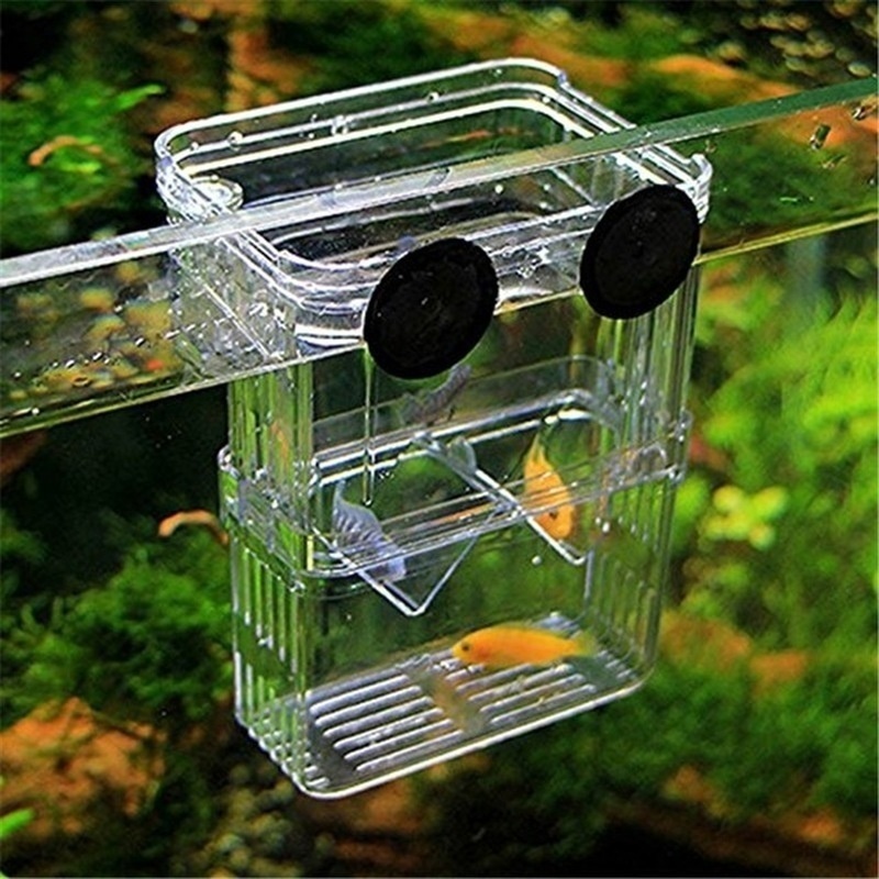 Acquario per pesci multifunzio - Aquarium Fish In Bowl recensione e prezzo