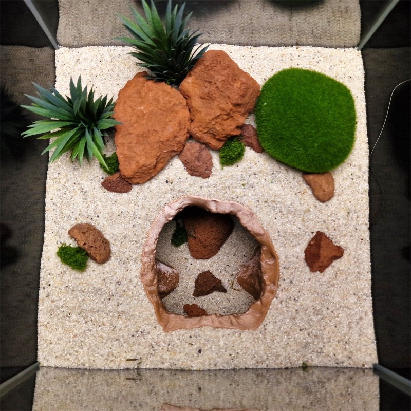 Ornamento per acquario con cav - Aquarium Fish Hiding Places recensione e prezzo