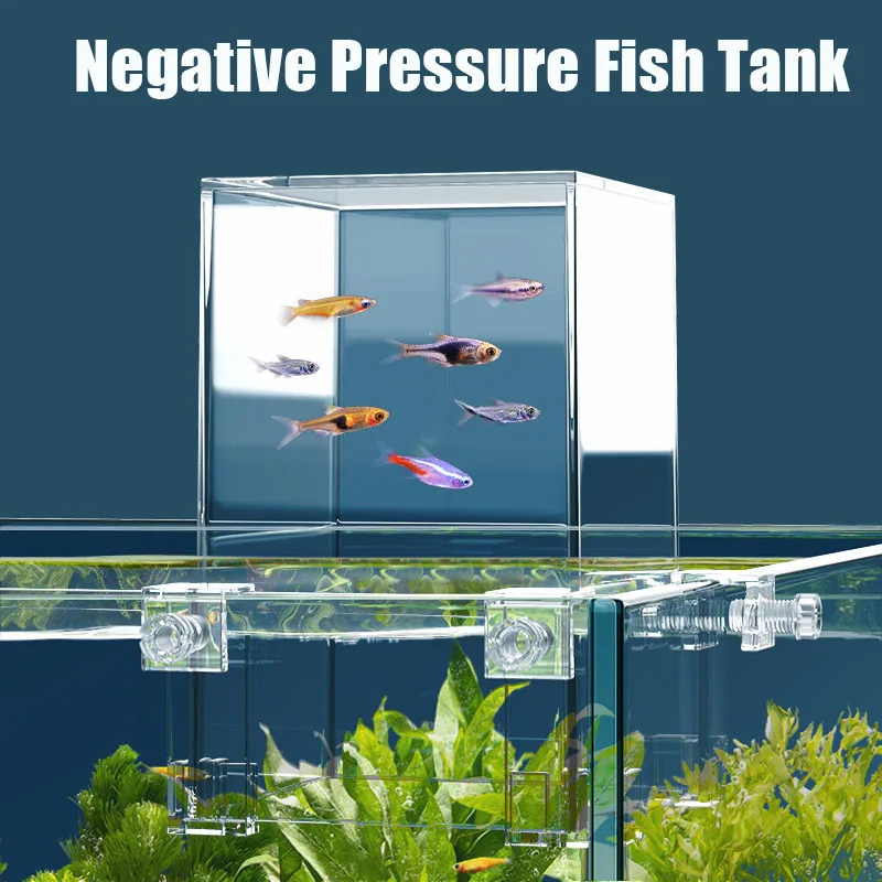 Serbatoi per acquari creativi  - Aquarium Fish In Bowl recensione e prezzo