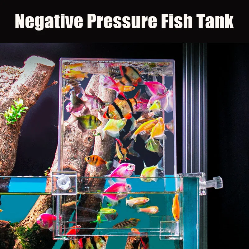 Serbatoi per acquari creativi  - Aquarium Fish In Bowl recensione e prezzo