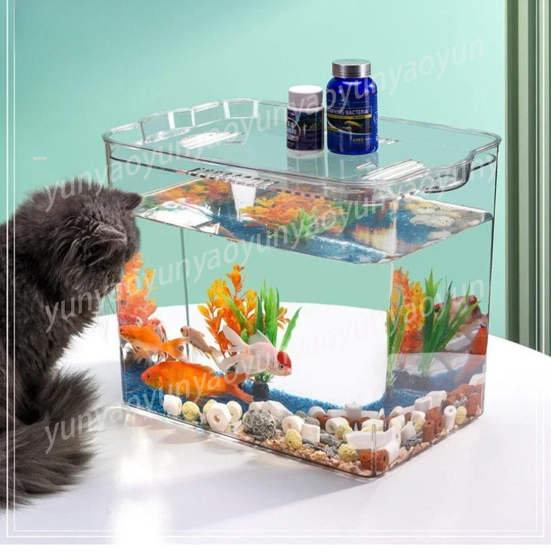 Acquario Autopulente con Sosti - Aquarium Fish Supplier recensione e prezzo