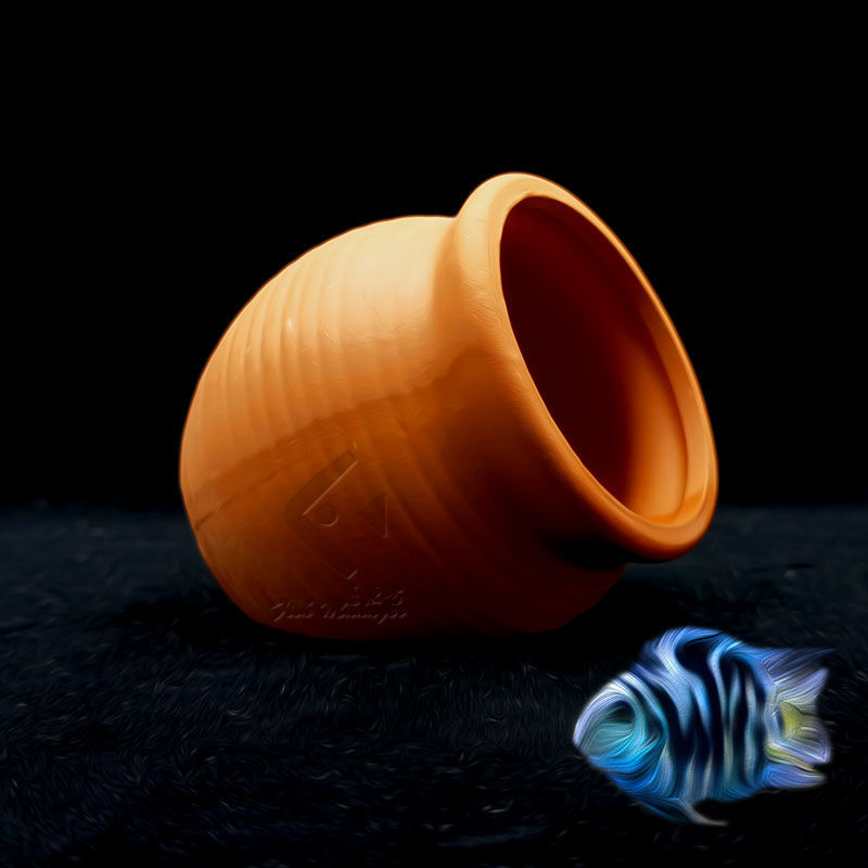 Acquario Mini Serbatoio in cer - Aquarium Fish Hiding Places recensione e prezzo