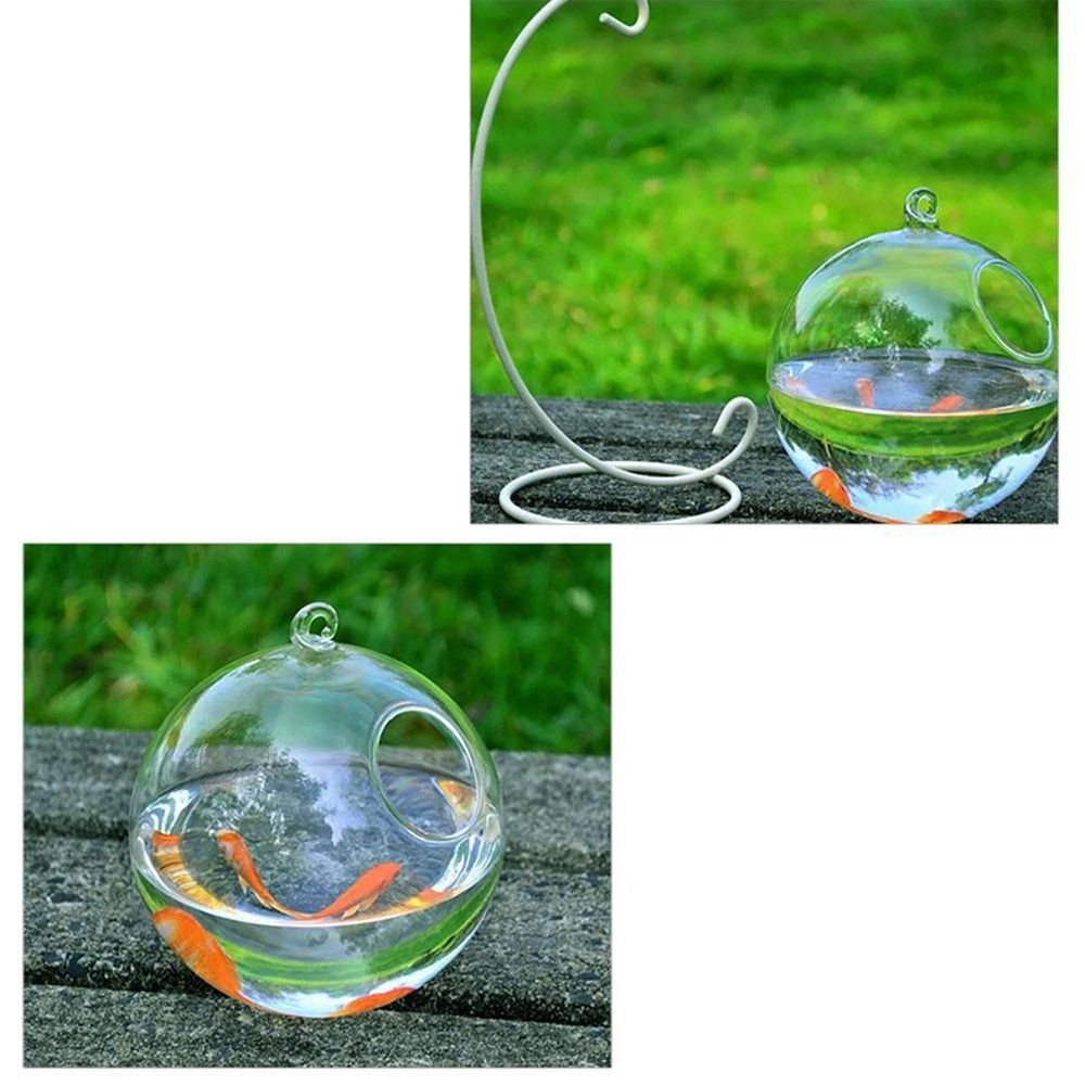 Decorazione per Acquario da Pa - Aquarium Fish In Bowl recensione e prezzo