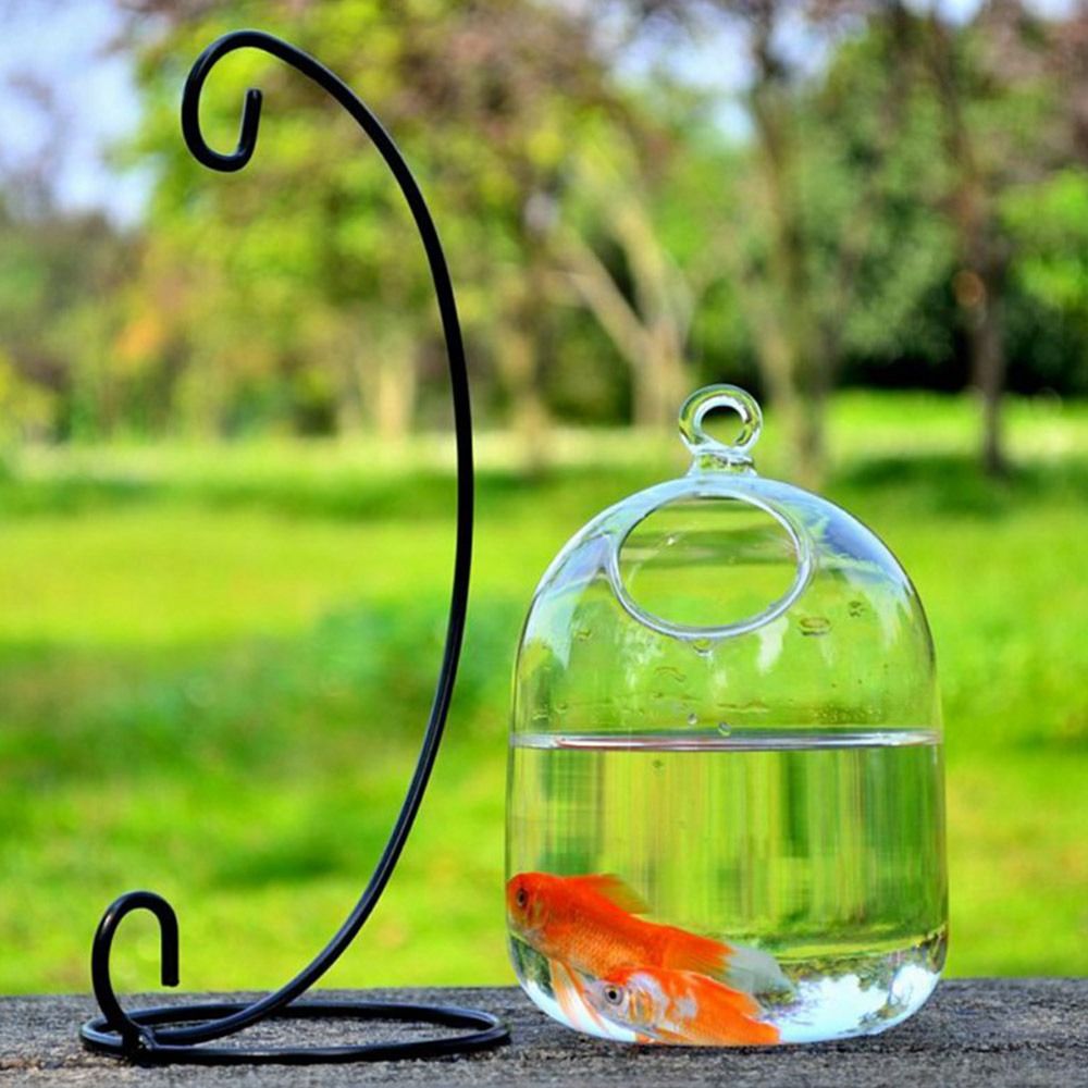 Decorazione per Acquario da Pa - Aquarium Fish In Bowl recensione e prezzo