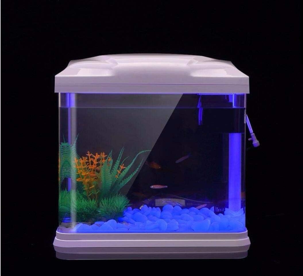 Rocce per acquari che si illum - Aquarium Fish Store recensione e prezzo