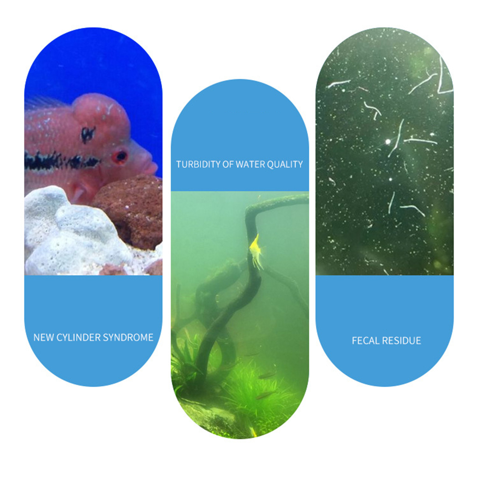 Polvere di nitrobatteri nitrif - Aquarium Fish Medicine recensione e prezzo