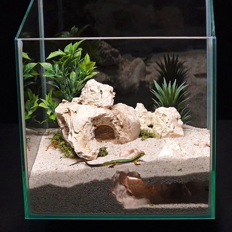 Tunnel per Acquario Stampato i - Aquarium Fish Hiding Places recensione e prezzo