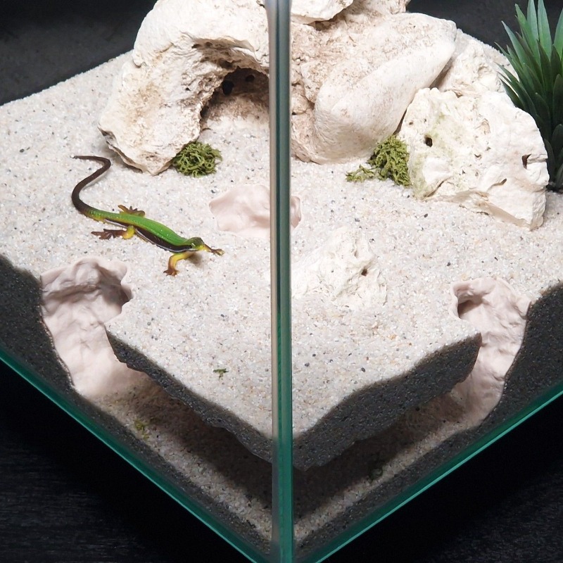 Tunnel per Acquario Stampato i - Aquarium Fish Hiding Places recensione e prezzo