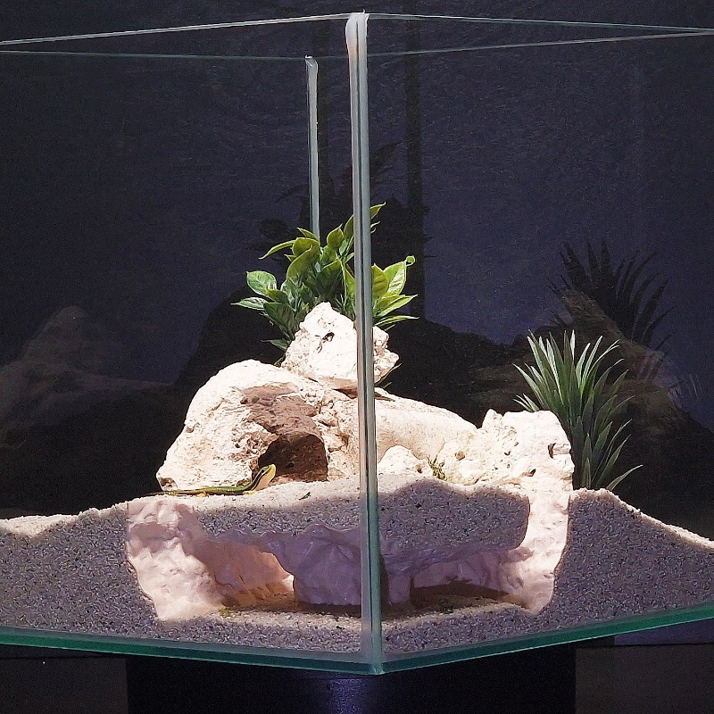 Tunnel per Acquario Stampato i - Aquarium Fish Hiding Places recensione e prezzo