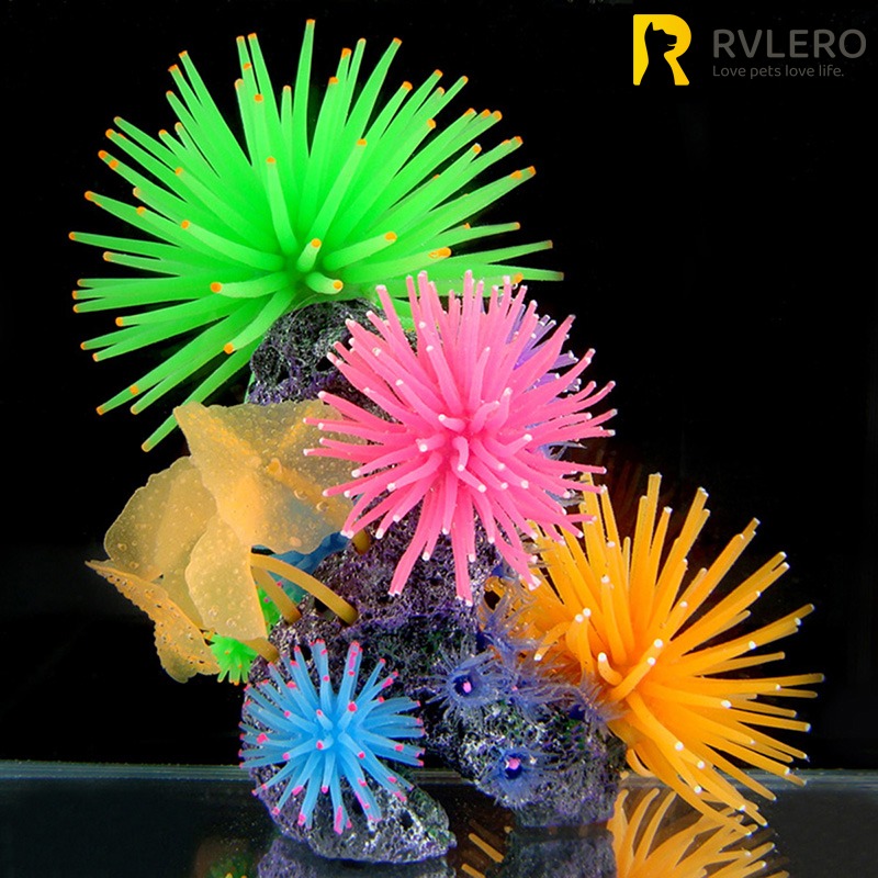 Simulazione luminosa Anemone d - Aquarium Fish Photography recensione e prezzo