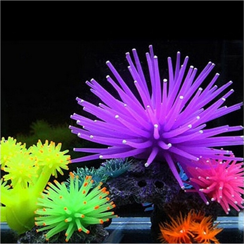 Simulazione luminosa Anemone d - Aquarium Fish Photography recensione e prezzo