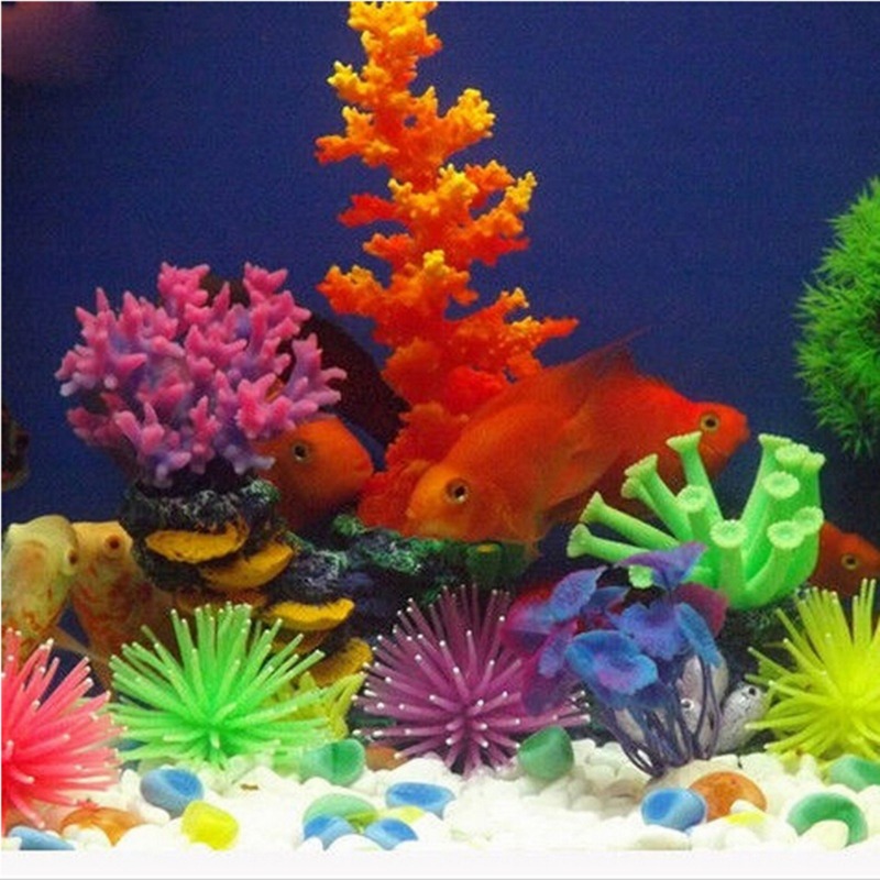 Simulazione luminosa Anemone d - Aquarium Fish Photography recensione e prezzo
