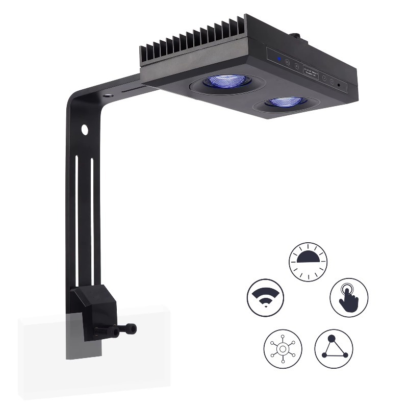 Luce per acquario a LED blu di - Aquarium Fish Supplier recensione e prezzo