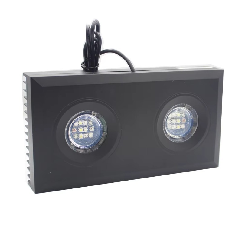 Luce per acquario a LED blu di - Aquarium Fish Supplier recensione e prezzo