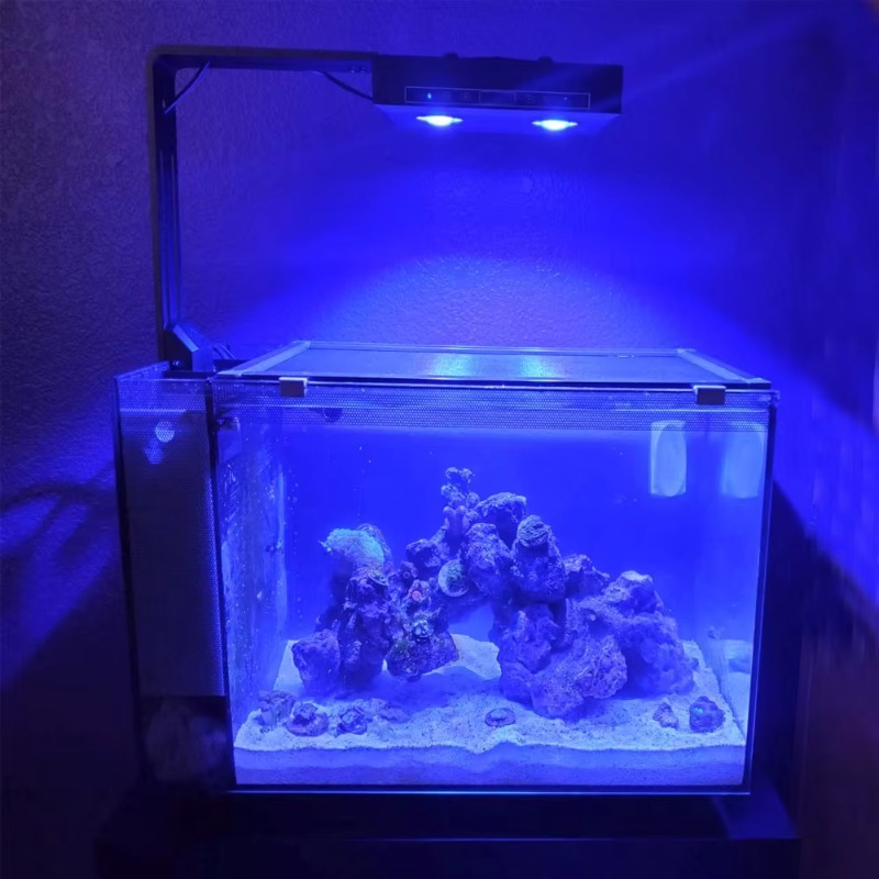 Luce per acquario a LED blu di - Aquarium Fish Supplier recensione e prezzo