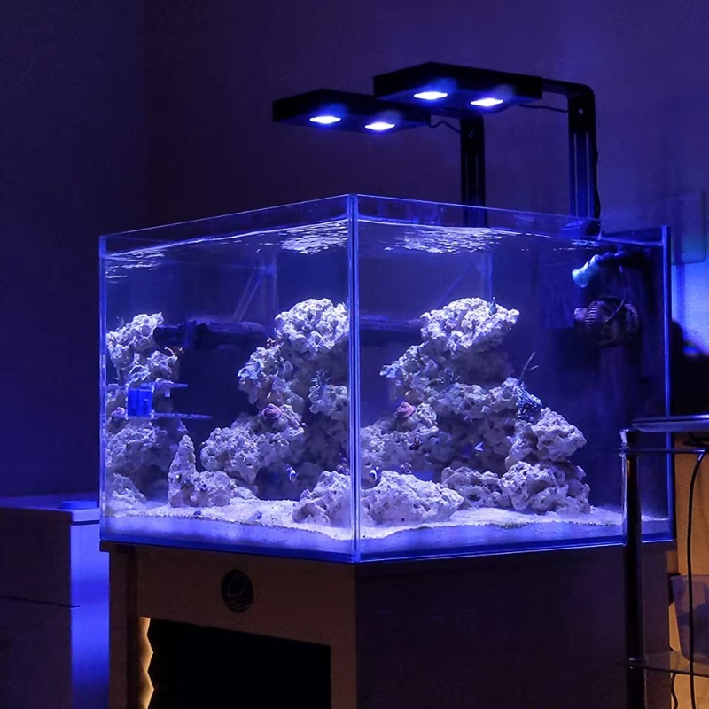 Luce per acquario a LED blu di - Aquarium Fish Supplier recensione e prezzo