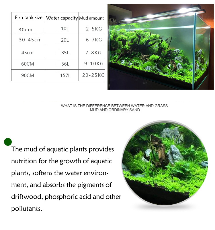 Acquario semi di piante terren - Aquarium Fish Photography recensione e prezzo