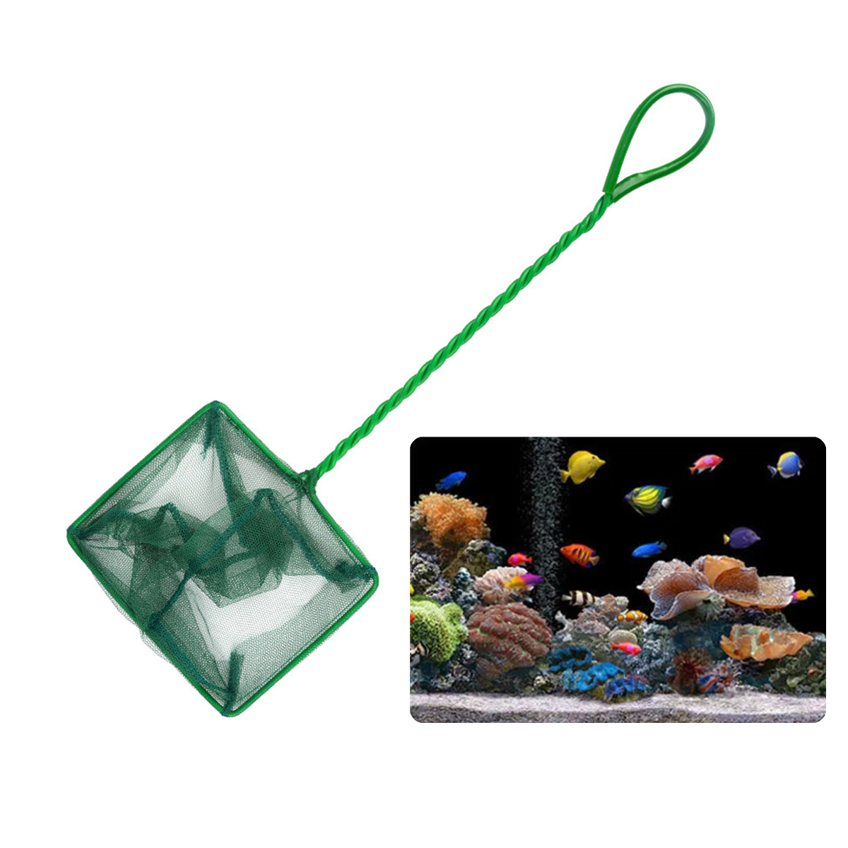 3 ~ 10 pollici portatile in ny - Aquarium Fish Maintenance recensione e prezzo