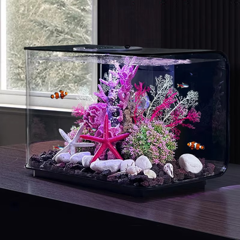 Acquario da Salotto, Piccolo A - Aquarium Fish Supplier recensione e prezzo