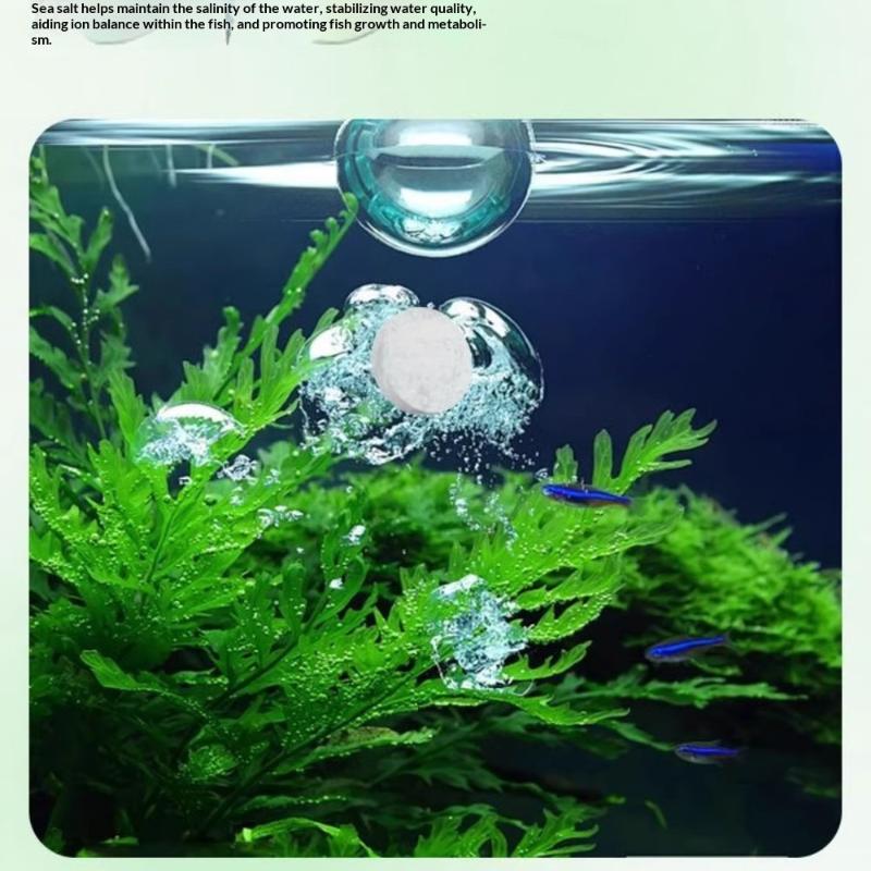 Compresse detergenti per alghe - Aquarium Fish Maintenance recensione e prezzo