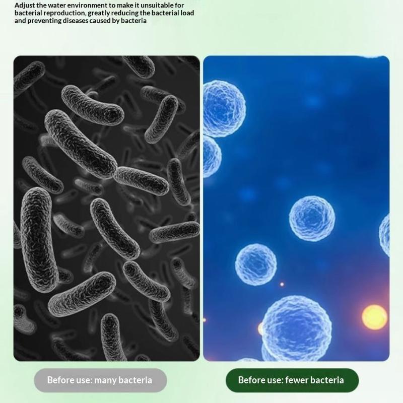 Compresse detergenti per alghe - Aquarium Fish Maintenance recensione e prezzo