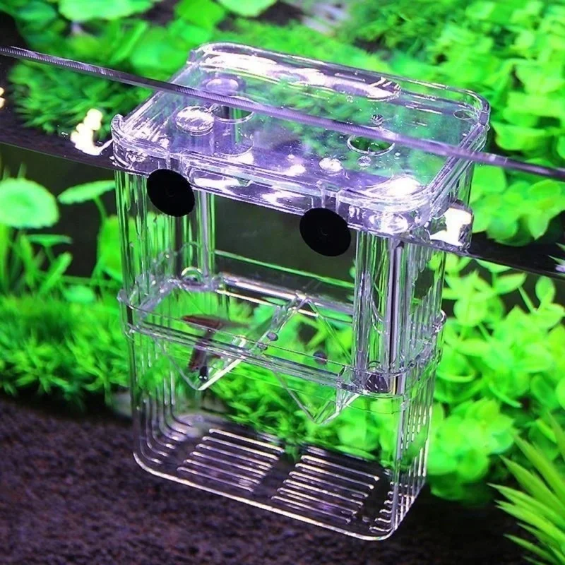 Acquario Multifunzionale per P - Aquarium Fish In Bowl recensione e prezzo