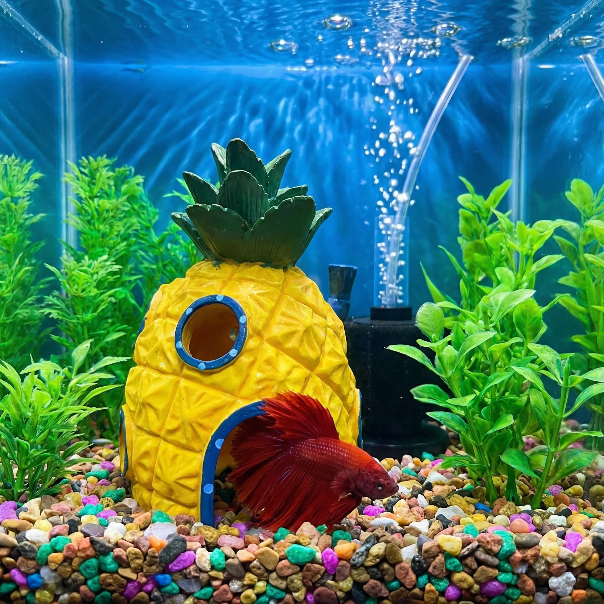 Decorazione per acquario Pinea - Aquarium Fish Hiding Places recensione e prezzo