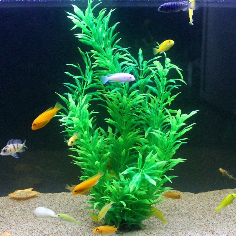 50CM Acquario artificiale Pian - Aquarium Fish Photography recensione e prezzo