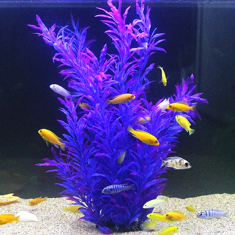 50CM Acquario artificiale Pian - Aquarium Fish Photography recensione e prezzo