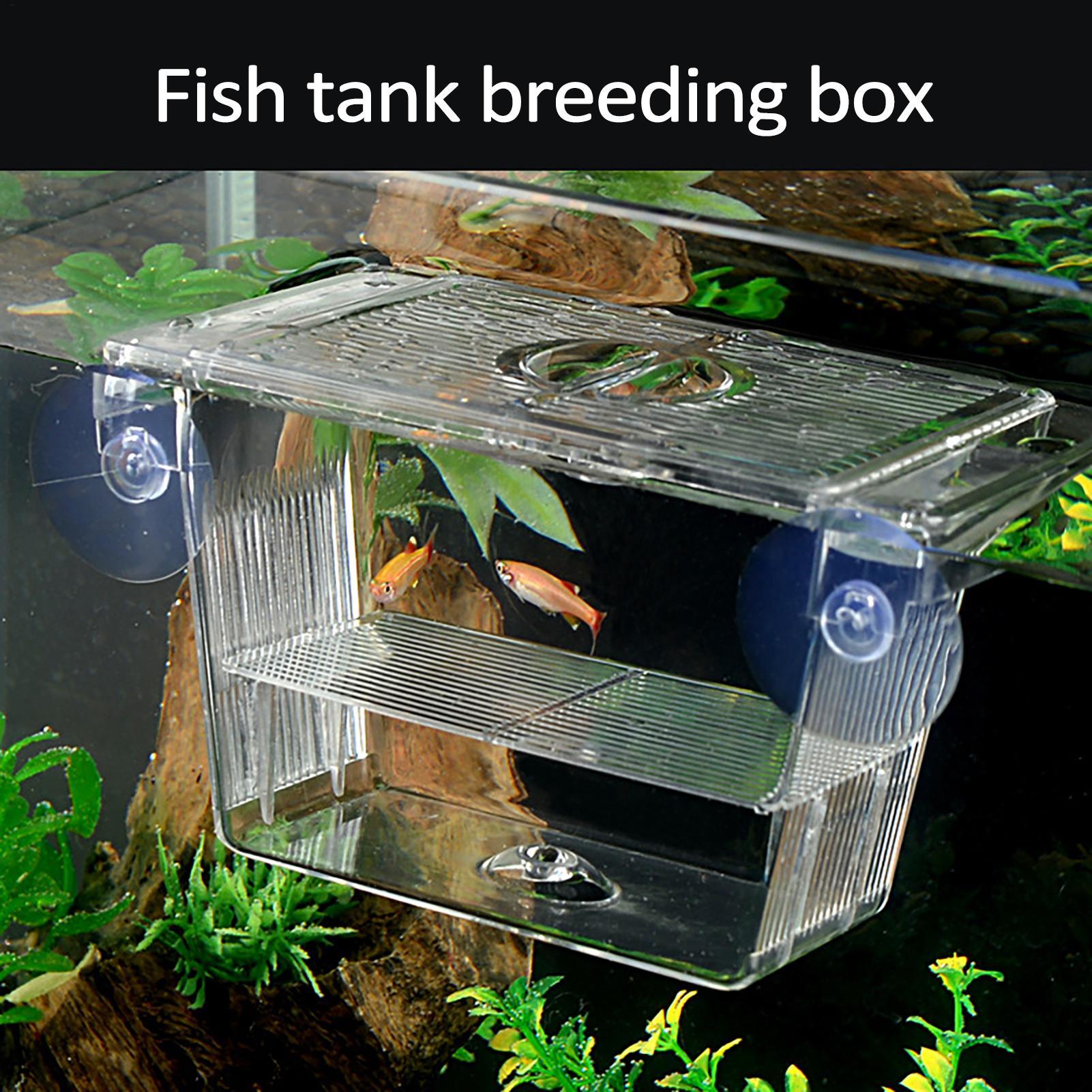 Box per Allevamento Pesci, Sca - Aquarium Fish In Bowl recensione e prezzo