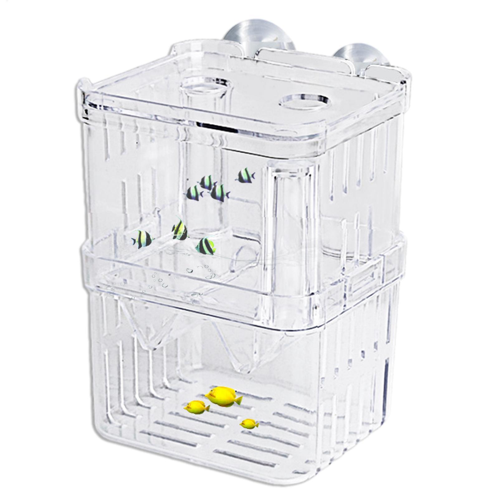 Box per Allevamento Pesci, Sca - Aquarium Fish In Bowl recensione e prezzo