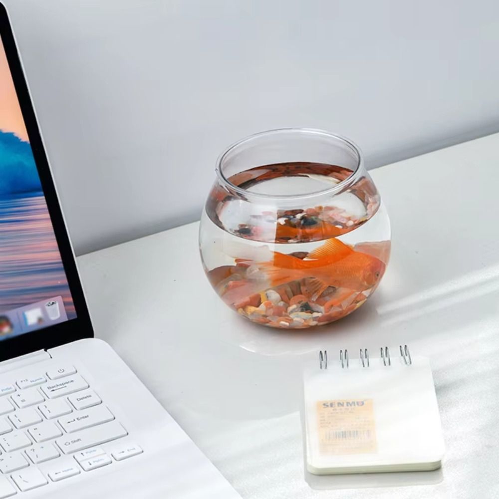 Nuovo acquario trasparente rot - Aquarium Fish In Bowl recensione e prezzo