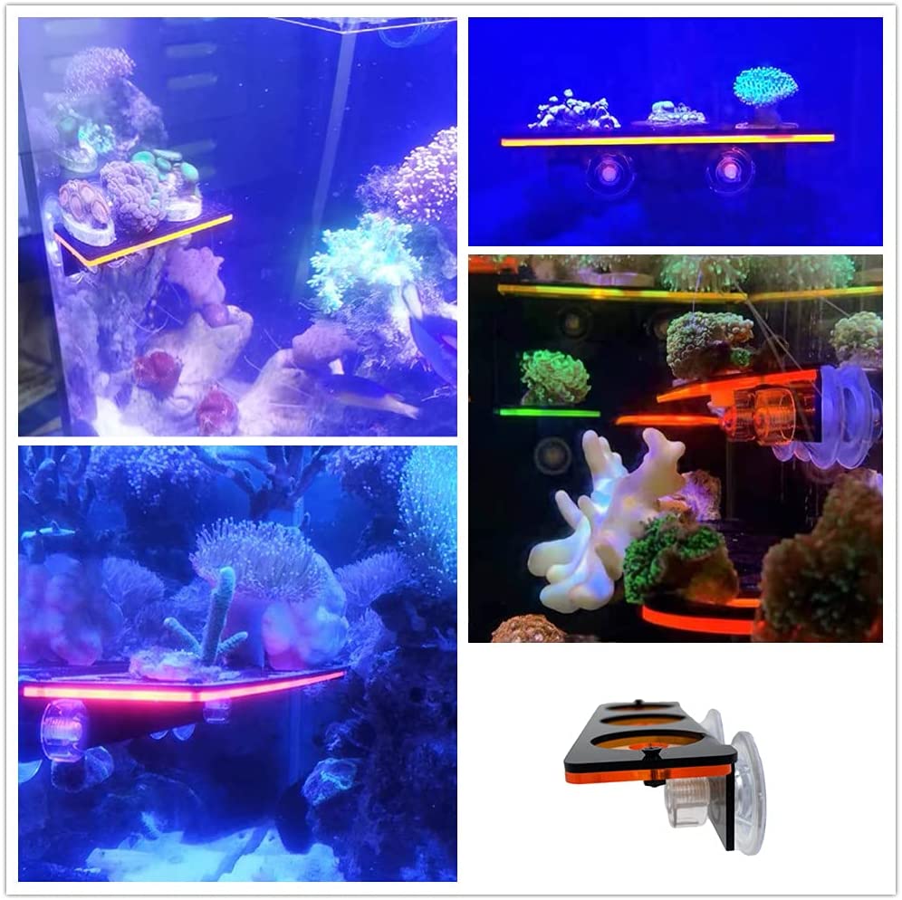 Staffa per tappo Frag in coral - Aquarium Fish For Sale Online recensione e prezzo