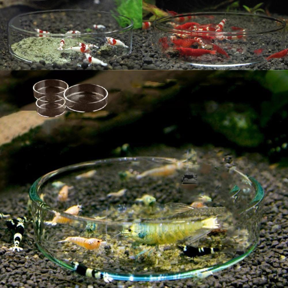 Ciotola per Alimentazione Pesc - Aquarium Fish In Bowl recensione e prezzo