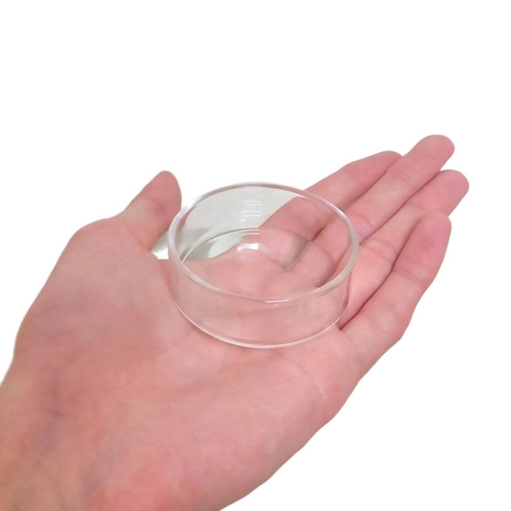 Ciotola per Alimentazione Pesc - Aquarium Fish In Bowl recensione e prezzo