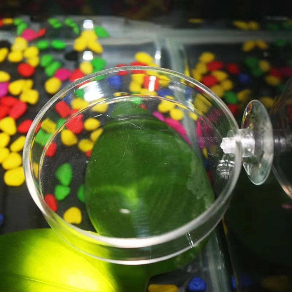 Ciotola per Alimentazione Pesc - Aquarium Fish In Bowl recensione e prezzo