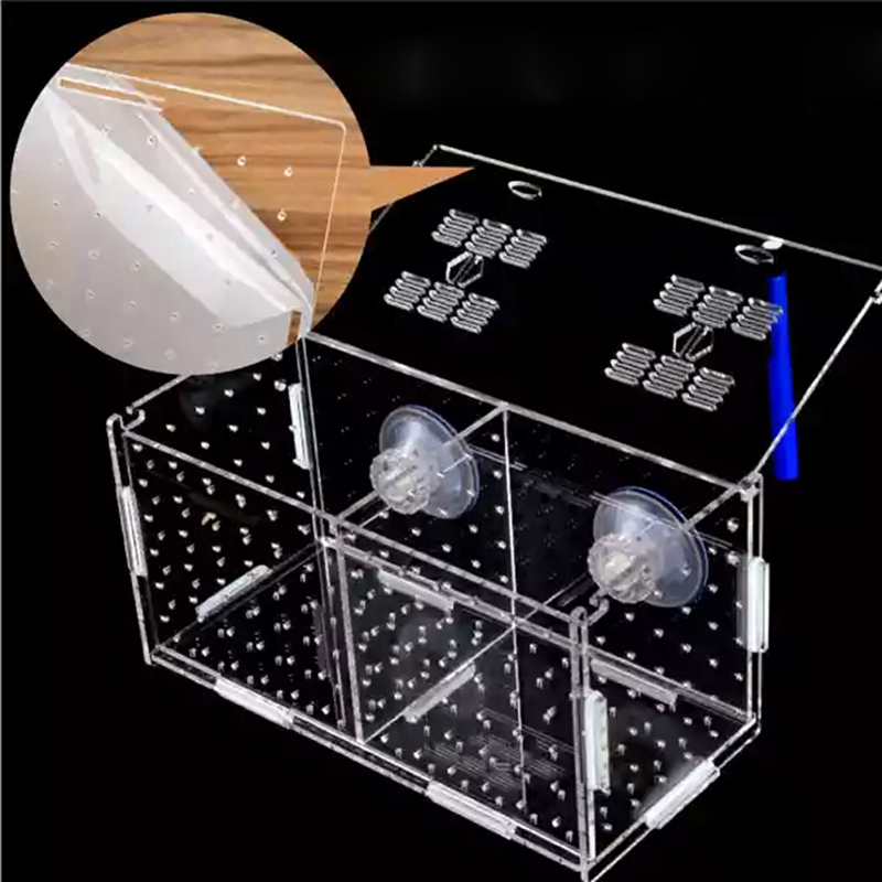 Scatola di isolamento dell'acq - Aquarium Fish Medicine recensione e prezzo