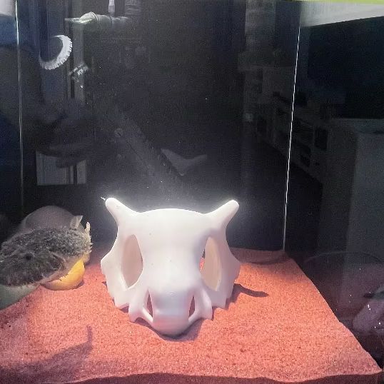 3D stampato FIsh Gamberetti Re - Aquarium Fish Hiding Places recensione e prezzo