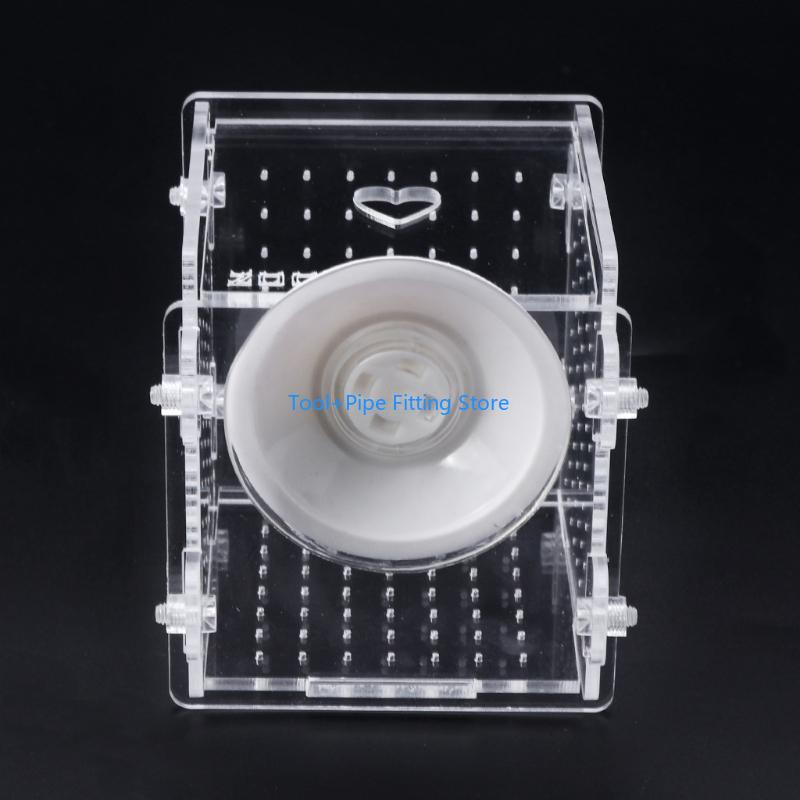 F92B Scatola per allevamento p - Aquarium Fish Medicine recensione e prezzo